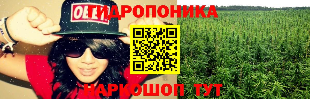 Шишки марихуана план Северодвинск